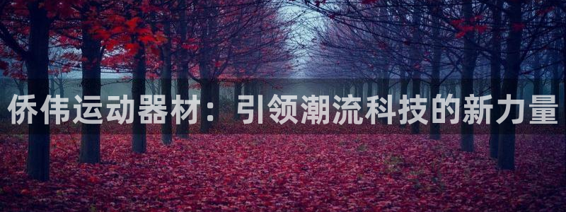 NG大舞台官方正版app五金厂:侨伟运动器材:引领潮流科技的