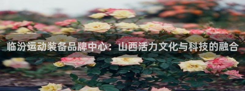 NG大舞台官方正版app官方:临汾运动装备品牌中心:山西活力