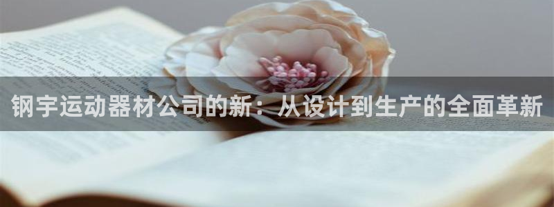 NG大舞台官网下载平台注册流程图:钢宇运动器材公司的新:从设